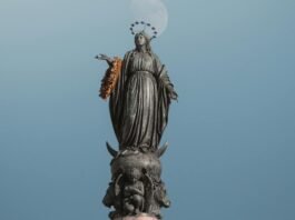 Pope Francis' prayer for the Immaculate Conception: 'You never stop loving your children'