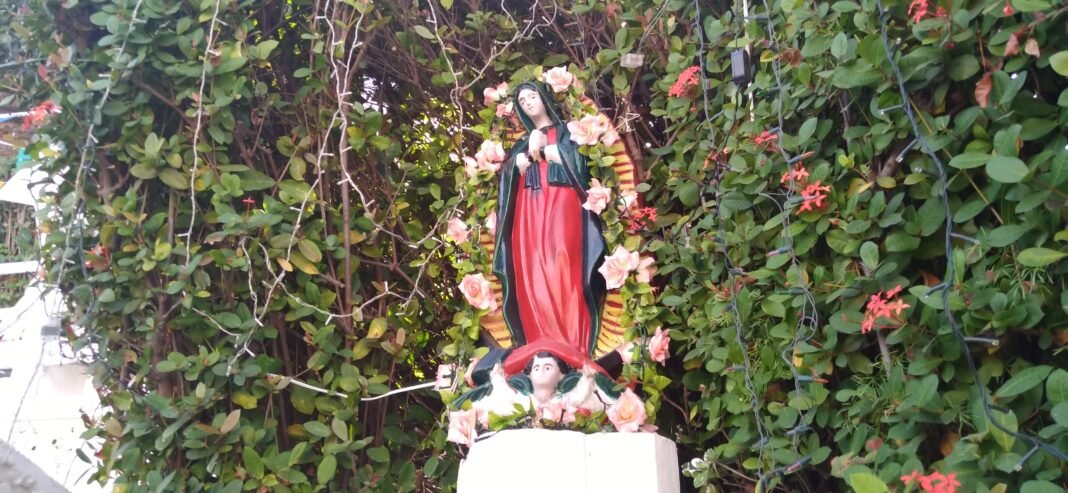 Dedication of a Child to Our Lady of Guadalupe