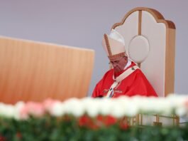 Pope Francis shares 7-word prayer he learned from his grandmother