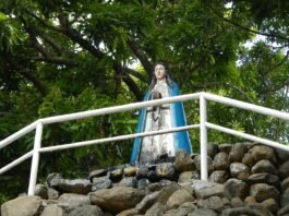 A Powerful Novena to Mary for Impossible Requests