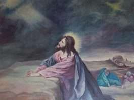 Prayer for this Morning (Friday, September 24)