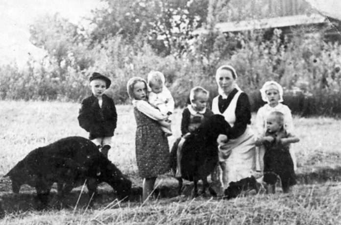 Martyred Ulm family will be beatified in September