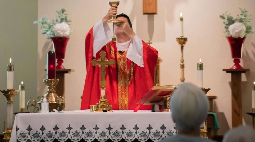 matea-gregg--NapKwRUyak-unsplash AN ACT OF CONSECRATION IN THE UNIVERSAL CALL TO HOLLINESS