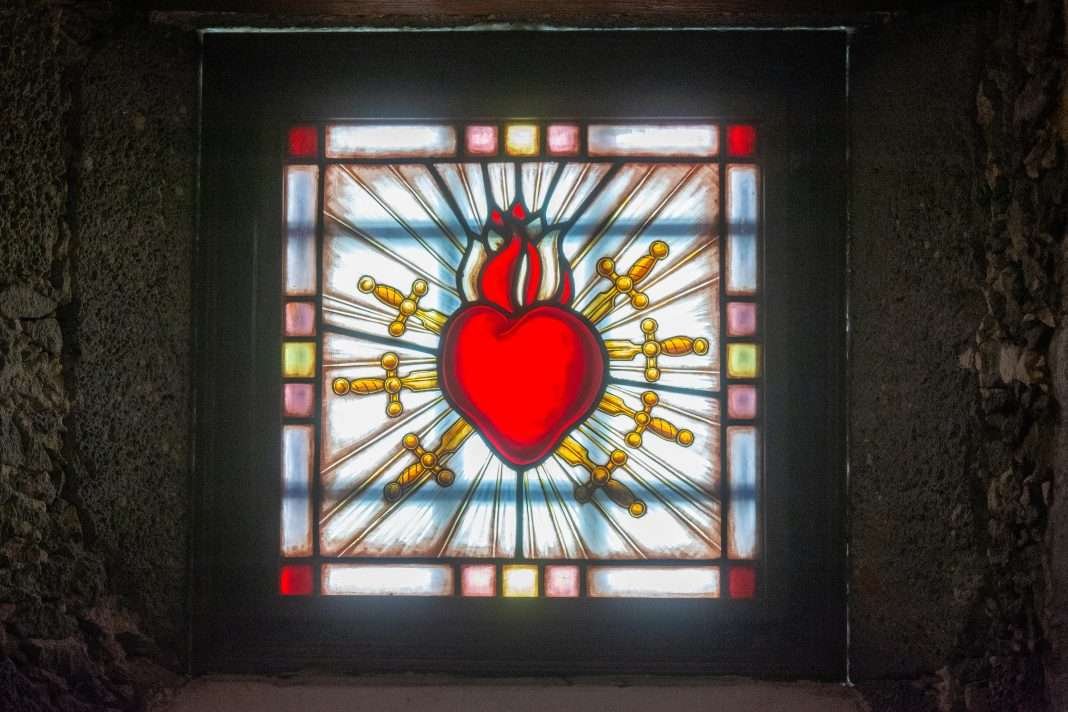 pexels-jan-van-der-wolf-11680885-27518321