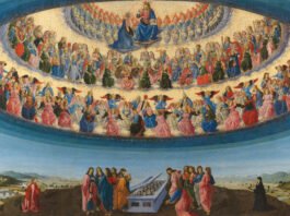 When You Attack the Assumption of Mary, You Attack the Resurrection Itself When You Attack the Assumption of Mary, You Attack the Resurrection Itself